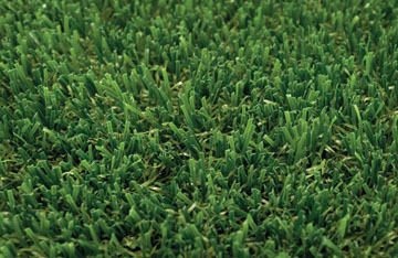 Burke Turf
